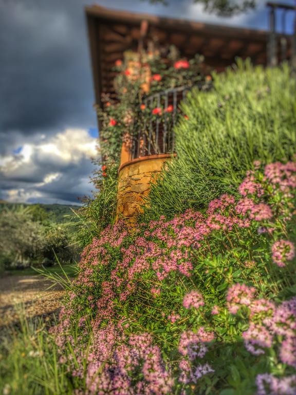 Tuscany Roses Arezzo Exterior foto